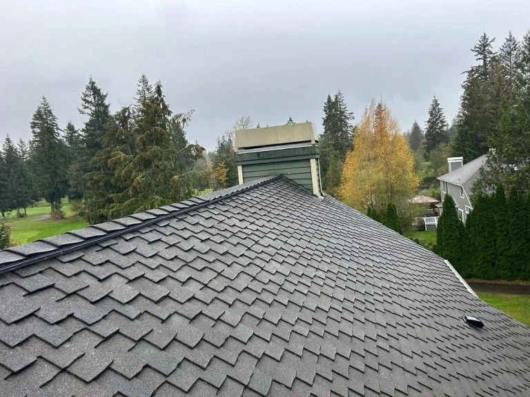 comprehensive chimney solutions